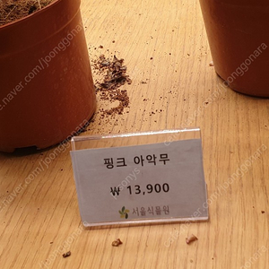 미란츠리시버앰프sr4400