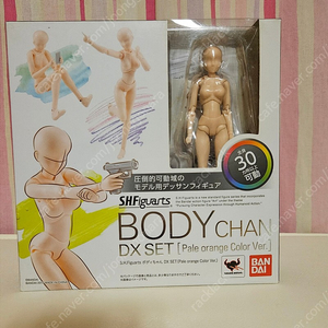 반다이 바디짱 dx set