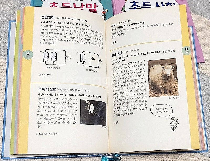 주니어김영사 초등 낱말사전,과학 사회사전--2