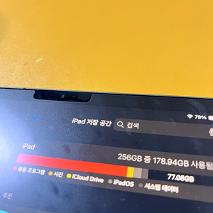 아이패드 프로 2세대 11인치 셀룰러 286기가