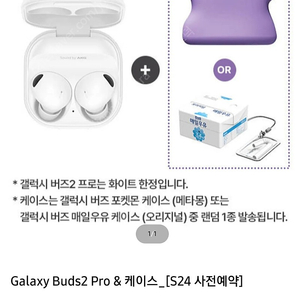 버즈2프로 + 버즈 케이스