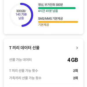 skt 1기가