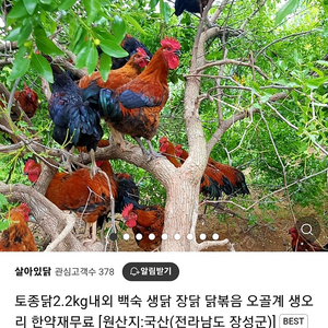 에스오일 5만원권 46000원에 삽니다