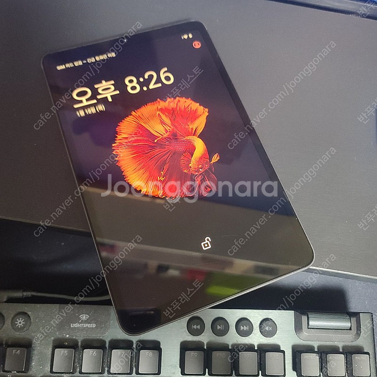 iplay 50 mini 아플미니--2