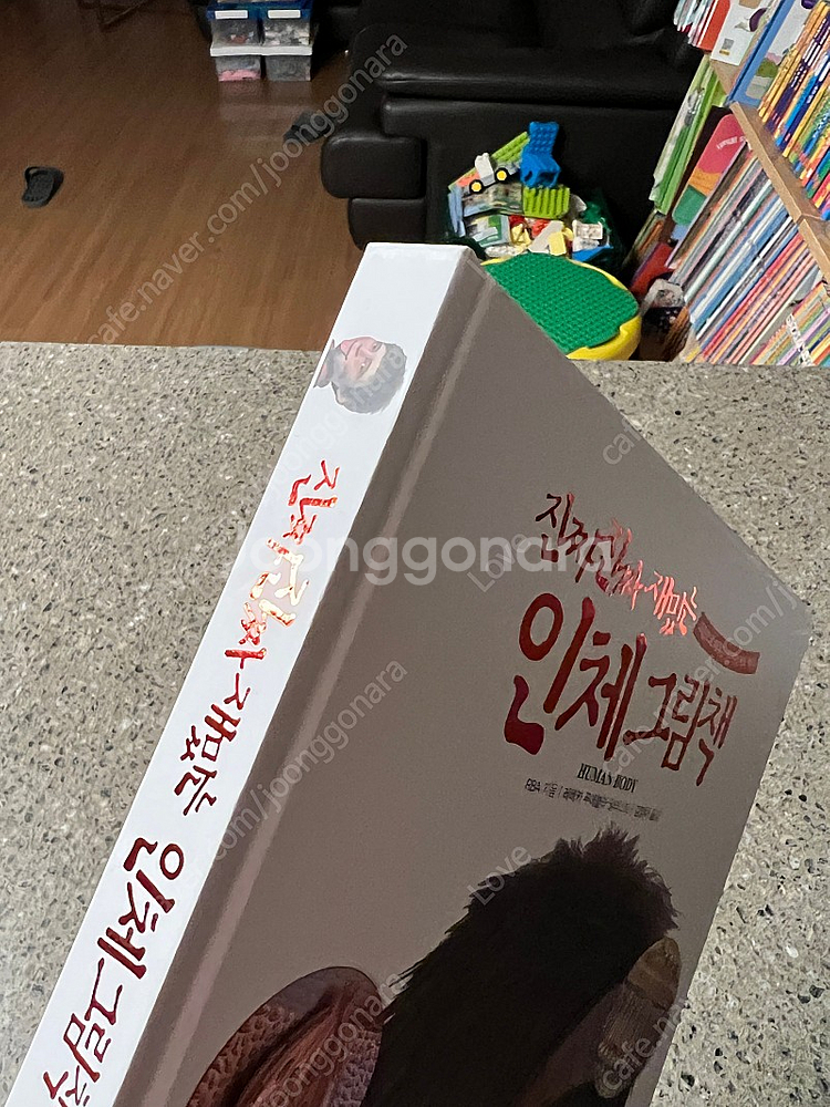 진짜진짜 재밌는 인체그림책--1