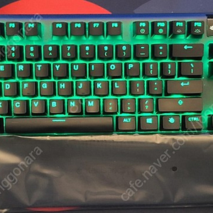 APEX PRO TKL 영문 키보드 판매 합니다 (팜레스트 미사용) 유선