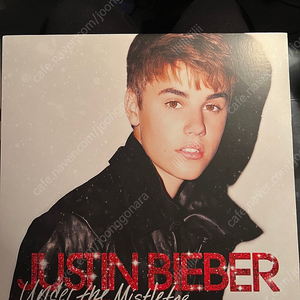 justin bieber Under The Mistletoe LP