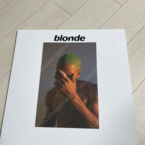 프랭크오션 blonde lp