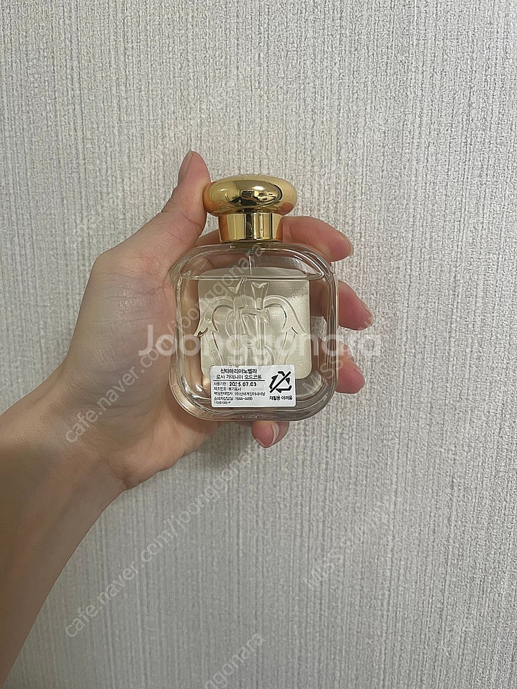 산타마리아 노벨라 로사가데니아--1