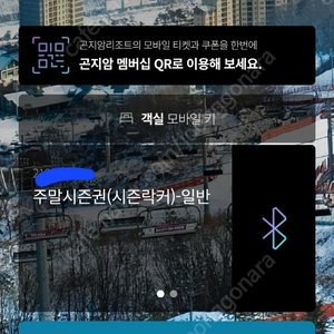곤지암 주말시즌권 + 시즌락커(스키하우스 1층) 양도비 포함