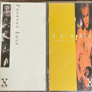 X JAPAN hide gold disk 仕様 set ／Forever Love・SCARS