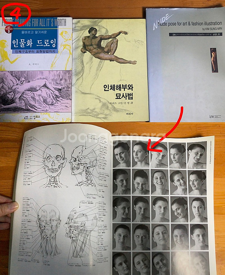 그래픽노블 미국 원서 / 인체 해부학 드로잉 북 팝니다...--3