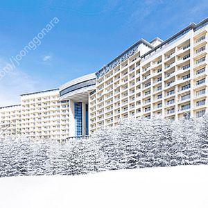 소노벨 경주(2월9일-1박) 소노벨 경주 스위트/취사/레이크뷰/온돌 양도합니다. 구정연휴첫날