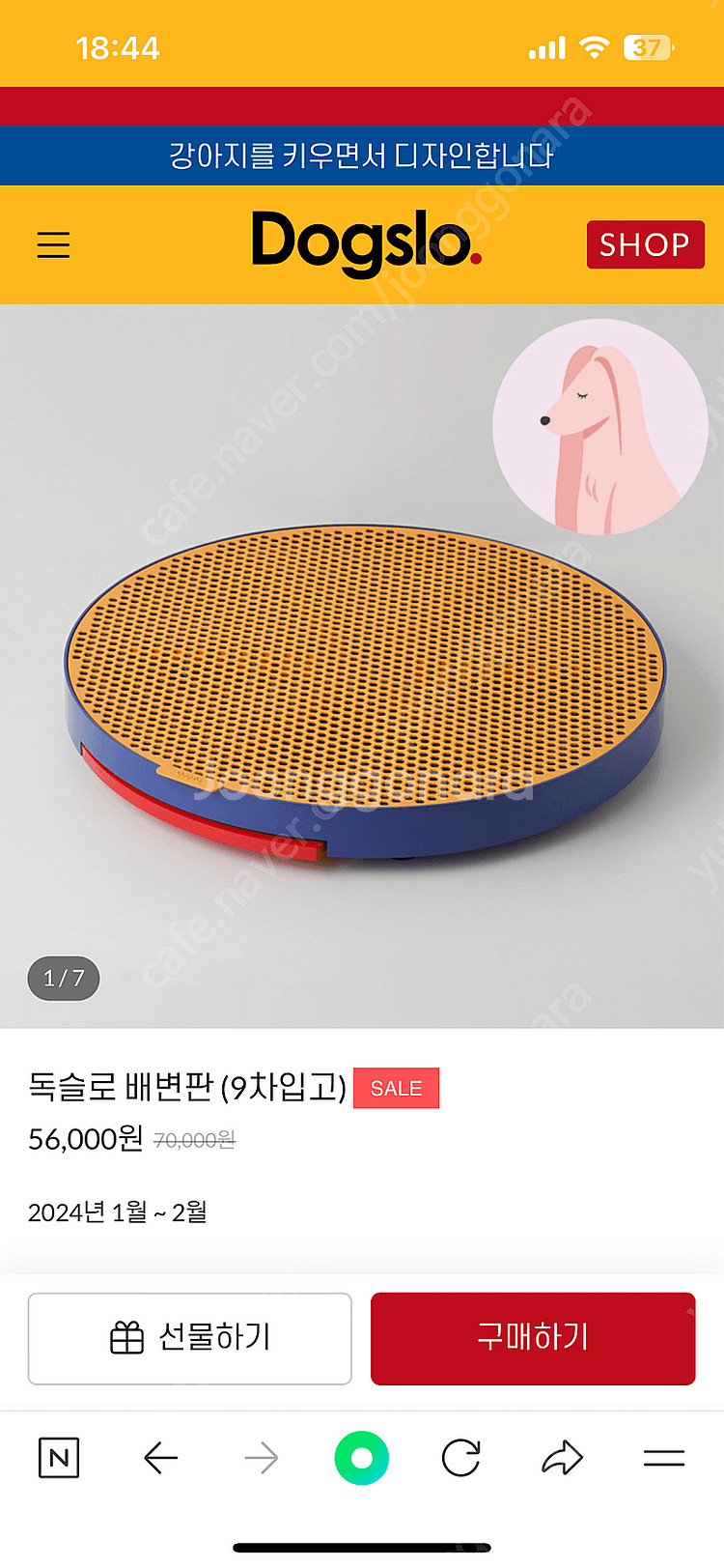독슬로 배변판--0