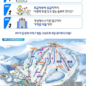 웰리힐리파크 리프트권 4시간권 2매 일괄6만 판매해요