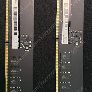 팀그룹 DDR5 5600 16GB 램 x2 택포