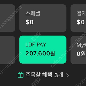 롯데면세점 LDF Pay 207,600원