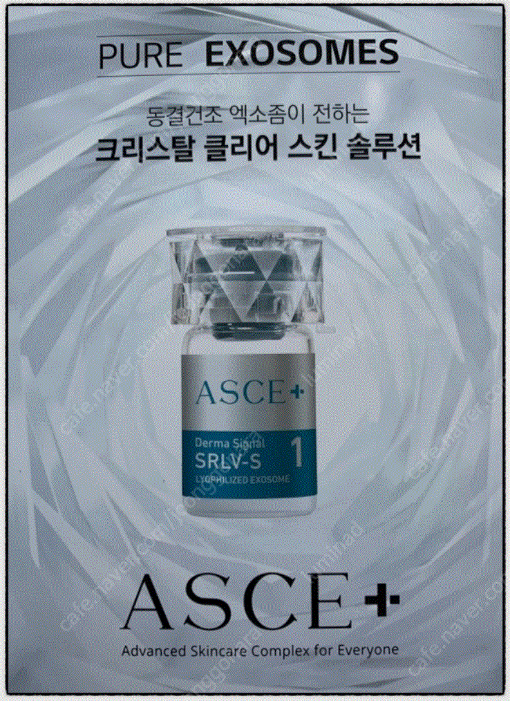 미사용 엑소좀 asce 샤넬 판매