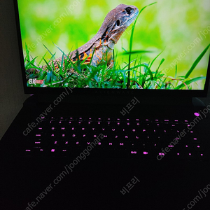 [인천] 에일리언웨어 게이밍 노트북 M17 R5 6800h, 3070ti, 32G 1TB, WIN 11 PRO, 17인치 4K 120Hz