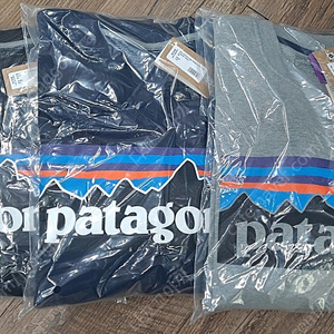 patagonia 파타고니아 맨투맨 기모라운드T 35,000원 (정품)