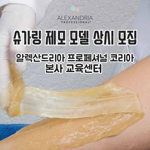 브라질리언 슈가링 왁싱 모델 (전신 가능) 무료 구입