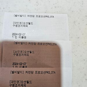 비발디파크 오션월드 입장권팝니다