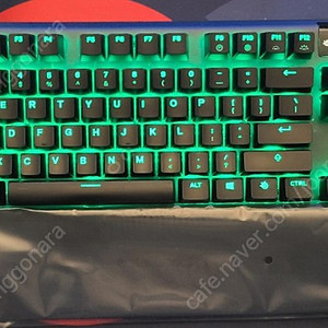 APEX PRO TKL 영문 키보드 판매 합니다 (팜레스트 미사용) 유선