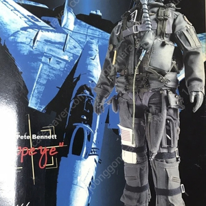 1/6 드래곤 DML F-14 파일럿 피규어 판매합니다