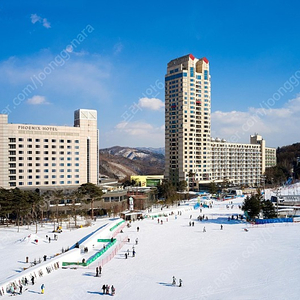 (2월 3일) 휘닉스 웰리힐리 하이원 알펜시아 오크밸리 강촌