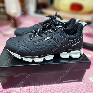 벨롭 티바트 윈트리 프로 블랙(255-260)