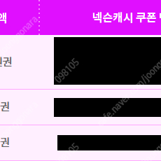 넥슨 캐시 쿠폰 4만원