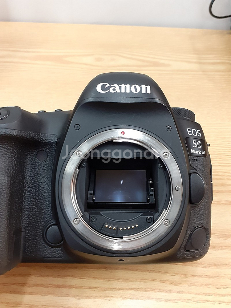 캐논 5D Mark4--5
