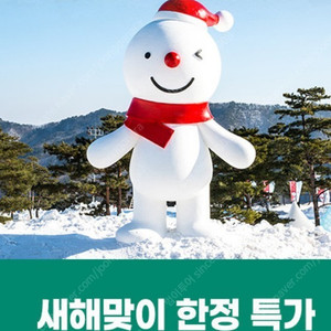 비발디파크(2월9 10 11연휴)조식부페+스노위랜드*리프트~오션월드