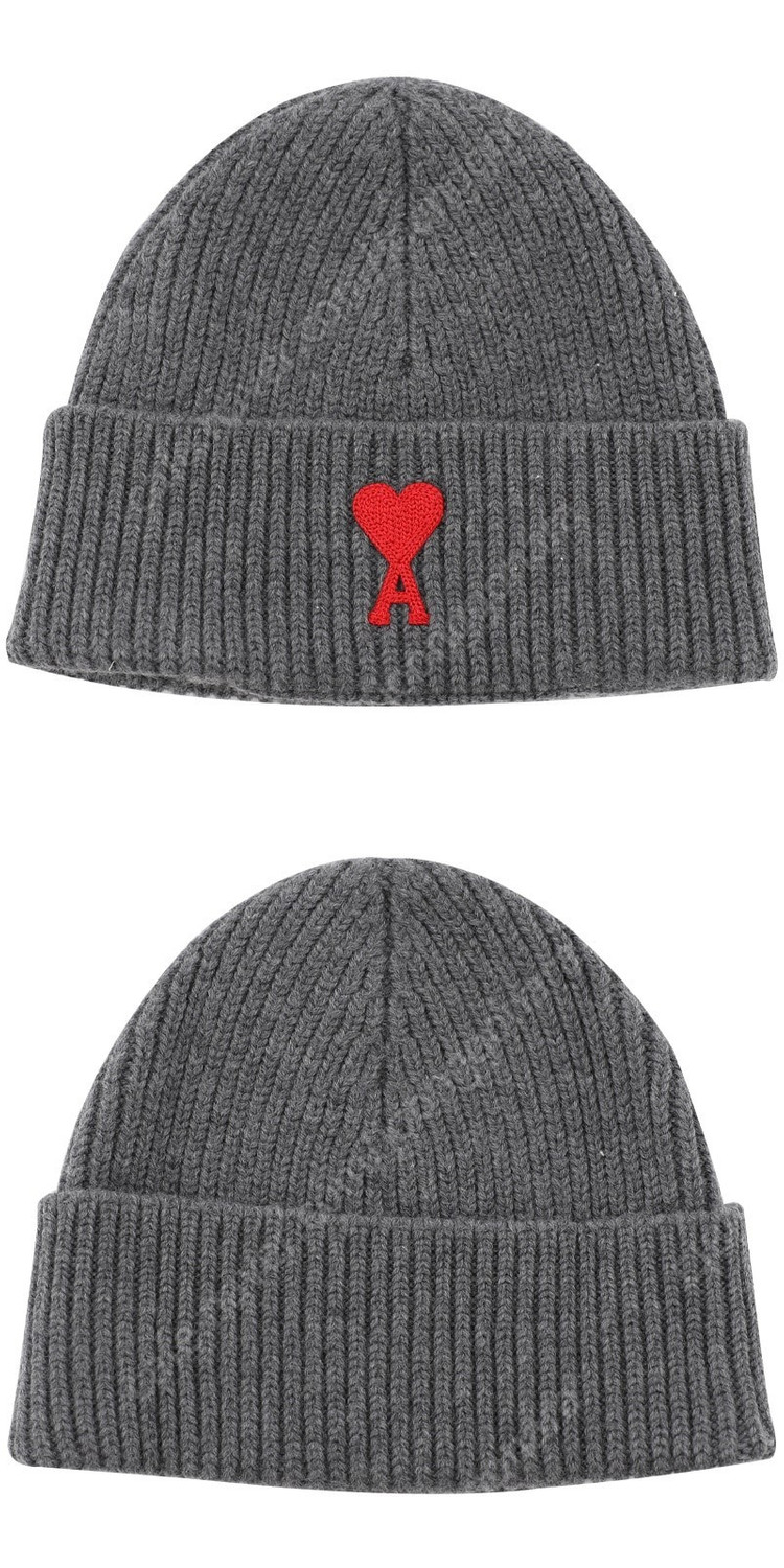 아미 비니 AMI--4