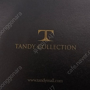 탠디 상품권 판매합니다 TANDY(백화점사용)