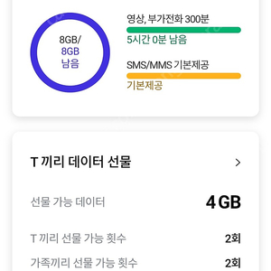 skt데이터 2기가