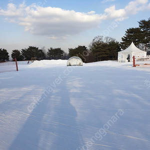 비발디파크