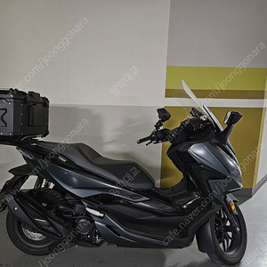 경기 안양 22년식 포르자350 출퇴근 짧은키로수