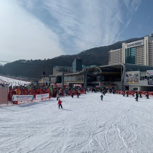 9일10일11일 설연휴 숙박 비발디 삼척 속초 롯데리조트 천안 경주