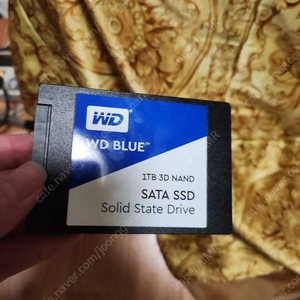 WD BLUE 1TB, 500GB SSD (설연휴 이후 발송)