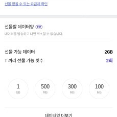 skt 데이터 2기가 3000 (1기가당 1500)