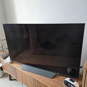 LG OLED 55인치 TV (스탠드)