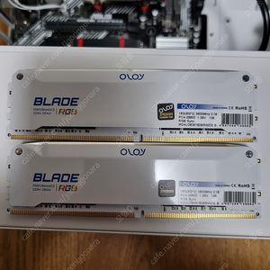 DDR4 OLOY BLADE RGB 3600Mhz 8G×2(WHITE) /대구