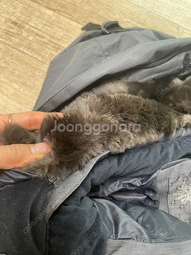 노비스여성롱패딩 쉬라 가격인하50->30--6