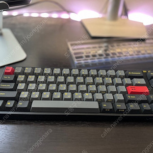 레오폴드 FC660MBT 갈축 애쉬 옐로우