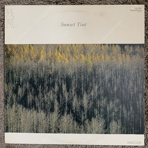 Keiichi Oku ‎– Sunset Tint LP (New Age, Ambient, Modern Classical)