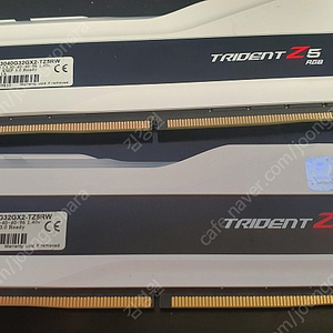 G.SKILL DDR5-6000 CL30 TRIDENT Z5 RGB 화이트 패키지 (64GB(32Gx2))