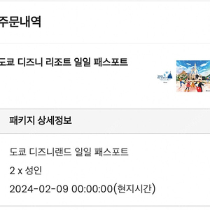 도쿄 디즈니랜드 티켓 2장 (2월 9일)