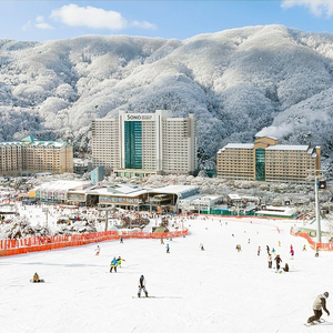 비발디파크 10일 오크동 패밀리취사형 양도