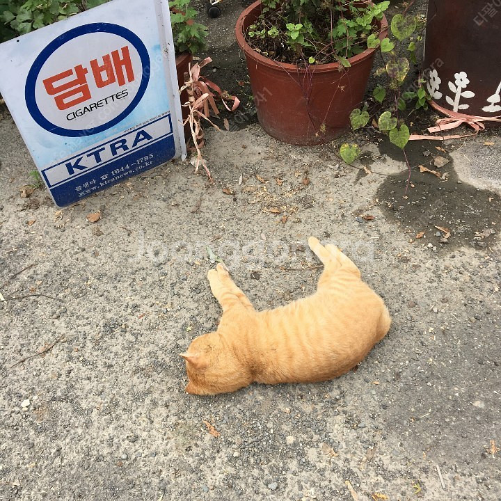아이디 하나 만들어주실분--0